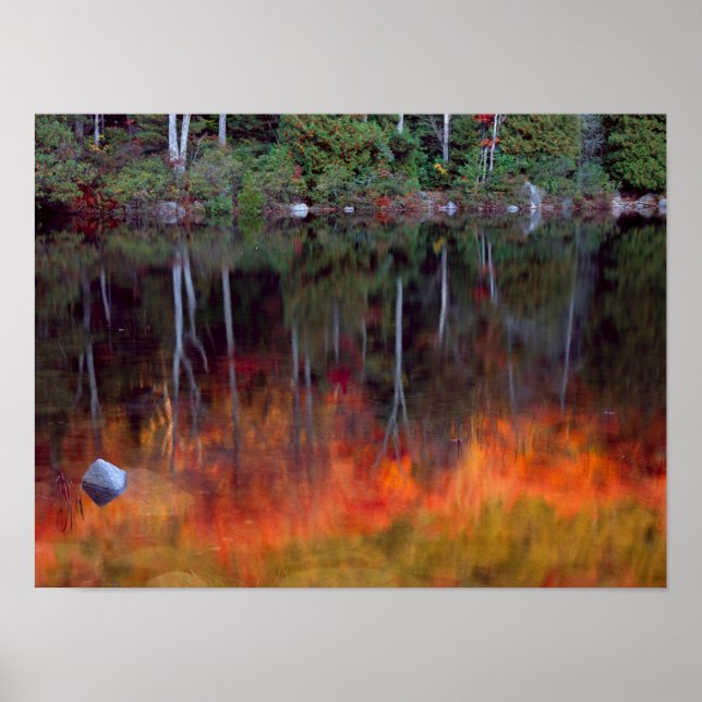 Poster Mt. Desert Island | Parc national Acadia, Maine (Devant)