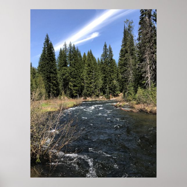 Poster Muir Creek, Oregon (Devant)