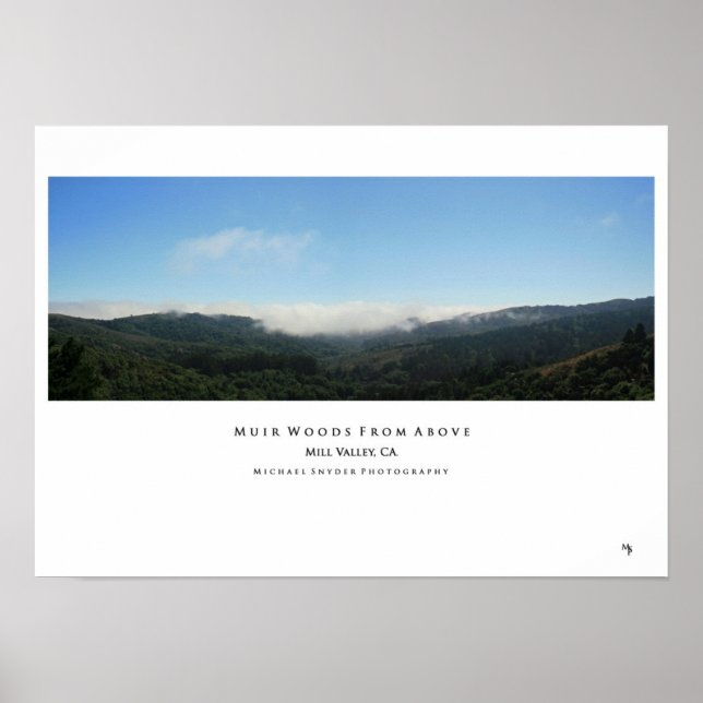 Poster "Muir Woods d'en haut" (Devant)
