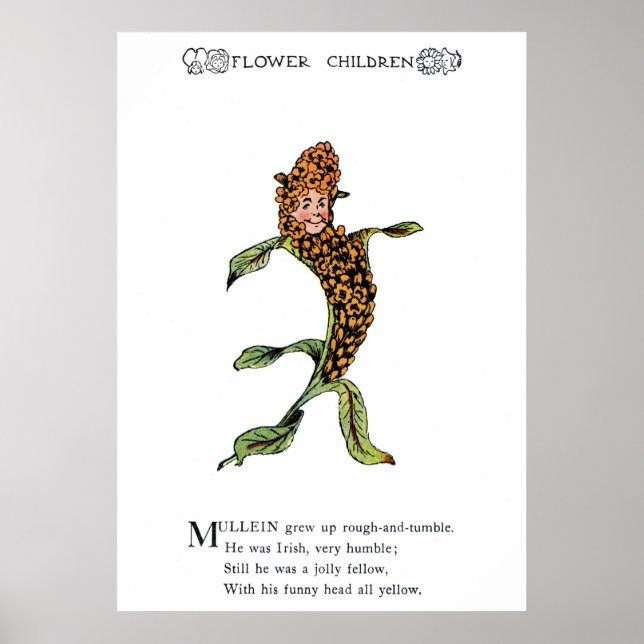 Poster Mullein (Devant)