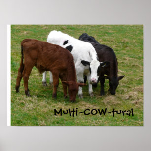 Poster Multiculturel ? Nous sommes Multi-COW-tural !