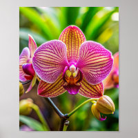 Mur d'art orchidée
