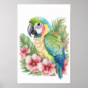Poster Mur d'art tropical ornithologique macaw avec impri
