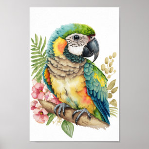 Poster Mur d'art tropical ornithologique macaw avec impri