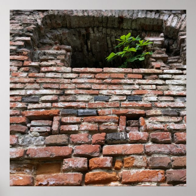 Poster mur de la forteresse (Devant)