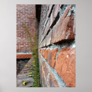 Poster mur de la vieille ville