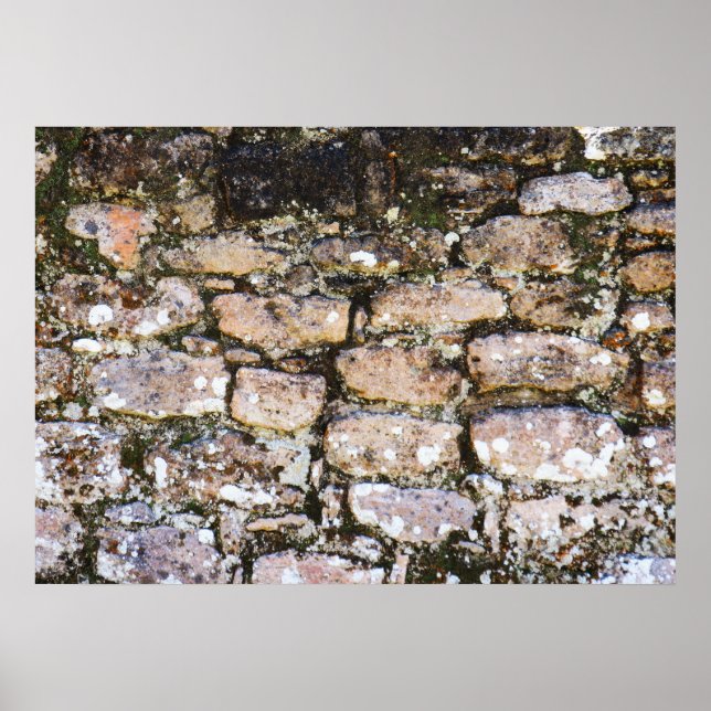 Poster Mur de ruines mayas (Devant)