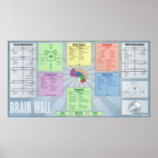 Poster Mur du cerveau