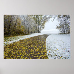 Poster mural 36x24