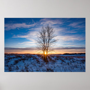 Poster mural 36x24