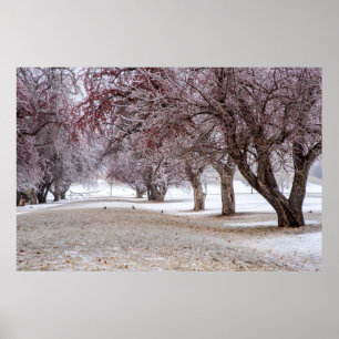 Poster mural 36x24