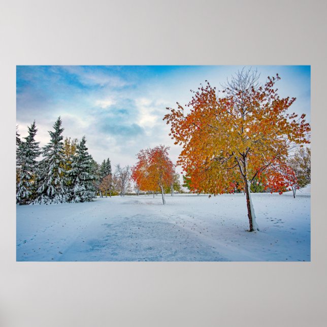 Poster mural 36x24 (Devant)