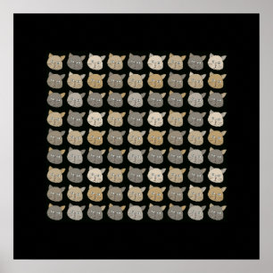 Poster murs de chat