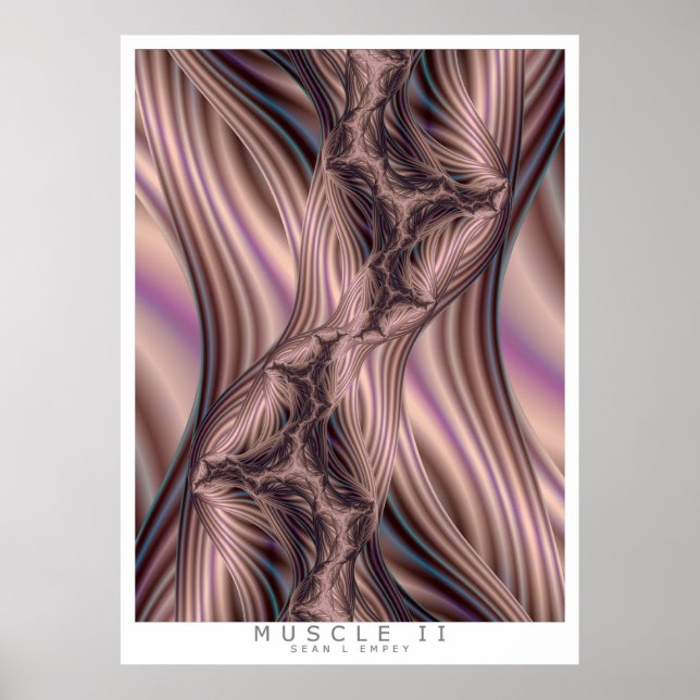 POSTER MUSCLE II (Devant)