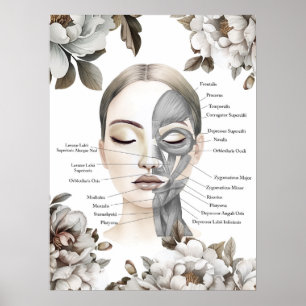 Poster Muscles faciaux Anatomie Art Massage Thérapiste Ca