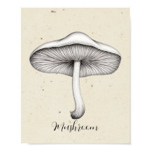 Mushroom truffe