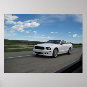 Poster Mustang blanc de Saleen