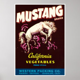 Poster Mustang Cheval sauvage Guadalupe Californie Légume