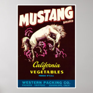 Poster Mustang Cheval sauvage Guadalupe Californie Légume