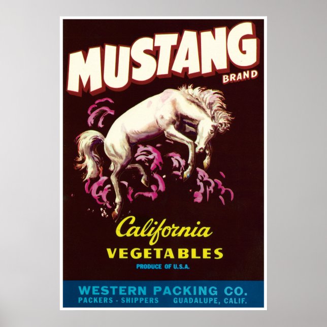 Poster Mustang Cheval sauvage Guadalupe Californie Légume (Devant)