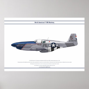 Poster Mustang Etats-Unis 328FS 1