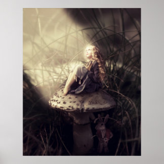 Poster My Wonderland