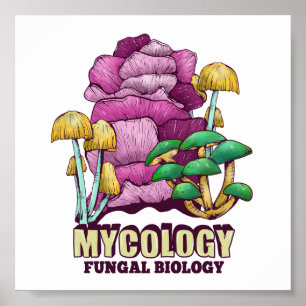 Poster Mycologie La biologie fongique