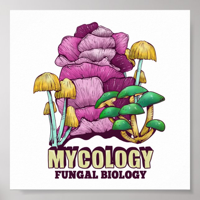 Poster Mycologie La biologie fongique (Devant)
