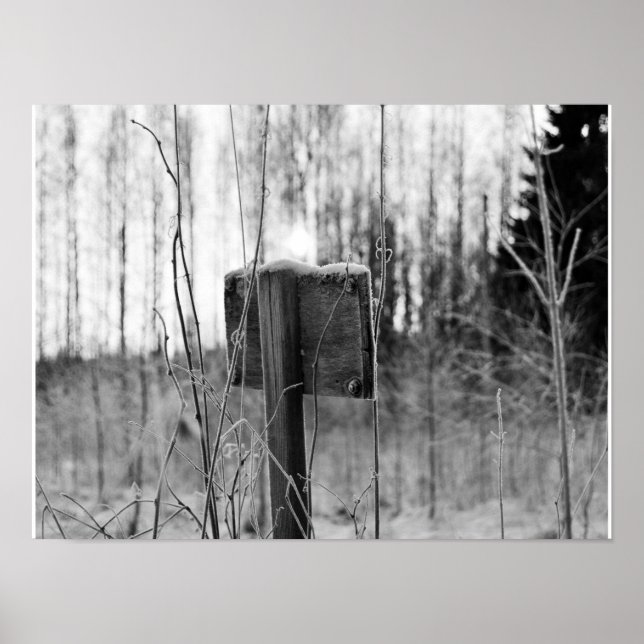 Poster Mystérieux (Devant)