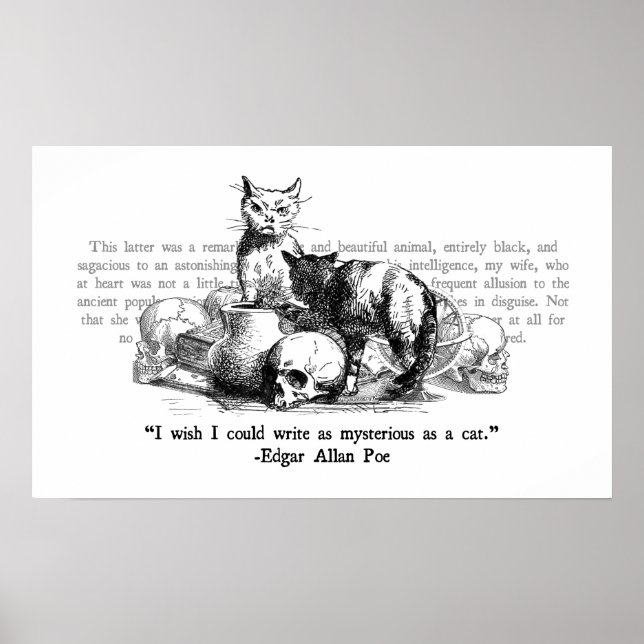 Poster Mystérieux Chats (Devant)