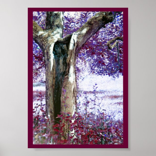 Poster Mystical tree (Devant)