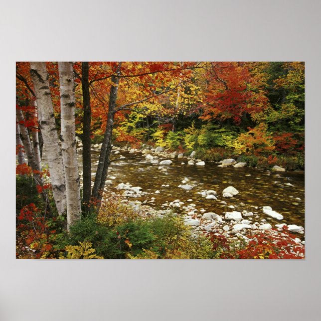 Poster N.A., États-Unis, New Hampshire, White Mountains, (Devant)