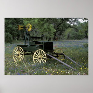 Poster N.A., États-Unis, Texas, Devine, Vieux chariot et