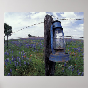 Poster N.A., États-Unis, Texas, Llano, Lanterne bleue, Ch