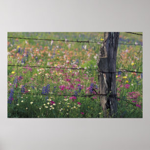 Poster N.A., États-Unis, Texas, Lytle, Fence post et