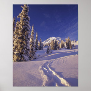 Poster NA, États-Unis, Washington, Mt Rainier NP, Snowsho