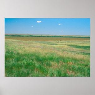 Poster NA, USA, NE. Grandes terres près d'Ogallala avec