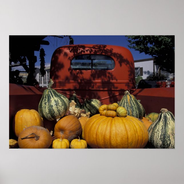 Poster NA, USA, Nouveau Mexique, Taos. Le Chili tient bon (Devant)