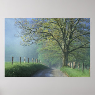 Poster NA, USA, Tennessee, Cades Cove, Great Smoky