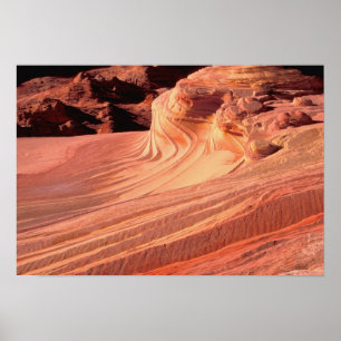 Poster NA, USA, Utah, Vermillion Cliffs. Bouton Coyote