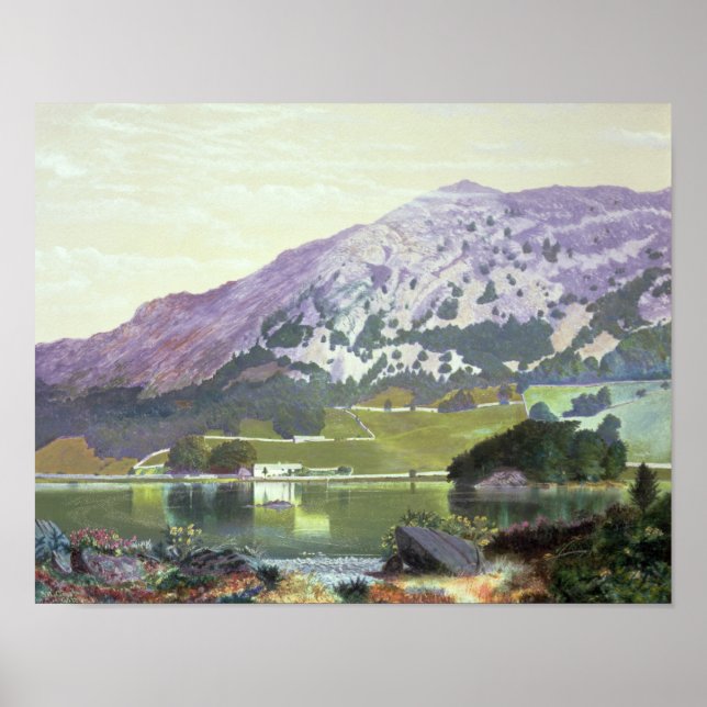 Poster Nab Scar (Devant)