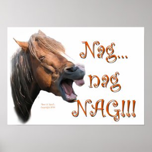 Poster Nag 1