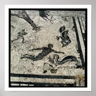 Poster Nageant avec les dauphins, du Frigidarium o
