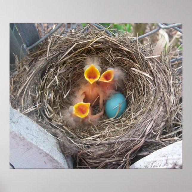 Poster Naissance du printemps (Devant)