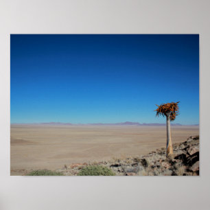 Poster Namibie Tirool Namib Désert Paysage Kokerboom