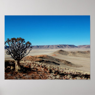 Poster Namibie Tirool Namib Désert Paysage Kokerboom