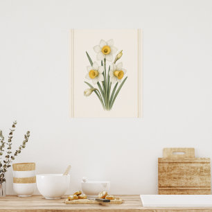 Poster Narcisse, fleur de naissance de décembre, illustra