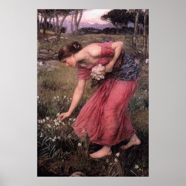 Poster Narcisse par John William Waterhouse - 1912 (Devant)