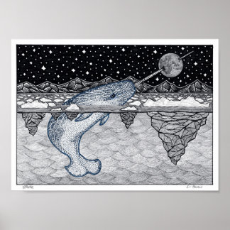 Poster Narwhal