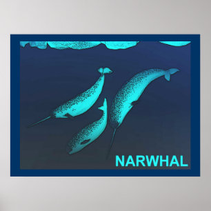 Poster Narwhal